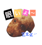 アンジーの毎日（個別スタンプ：4）