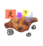 アンジーの毎日（個別スタンプ：6）