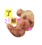 アンジーの毎日（個別スタンプ：7）