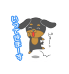 毎日ダックスくん（個別スタンプ：3）