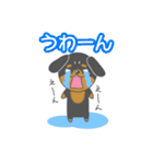 毎日ダックスくん（個別スタンプ：9）