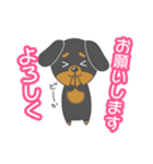 毎日ダックスくん（個別スタンプ：13）