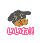 毎日ダックスくん（個別スタンプ：21）