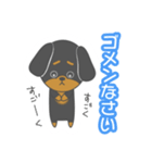 毎日ダックスくん（個別スタンプ：22）