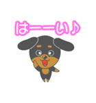 毎日ダックスくん（個別スタンプ：29）