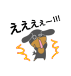 毎日ダックスくん（個別スタンプ：30）
