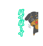 毎日ダックスくん（個別スタンプ：31）