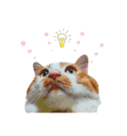 mi ＆ titi ♡（個別スタンプ：10）