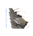 姫うずらんらん（個別スタンプ：4）