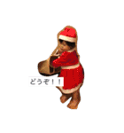 37スタンプ002（個別スタンプ：7）