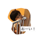 37スタンプ002（個別スタンプ：8）
