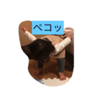 37スタンプ002（個別スタンプ：28）