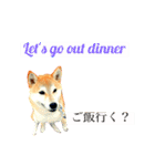 Mame shiba RUN！（個別スタンプ：10）