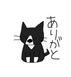 変な猫？（個別スタンプ：6）