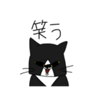 変な猫？（個別スタンプ：8）