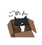 変な猫？（個別スタンプ：20）