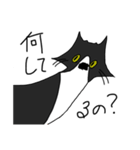 変な猫？（個別スタンプ：22）