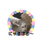 あんじーと14にゃんず15（個別スタンプ：8）
