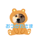 はなまる、はなちゃん（個別スタンプ：15）