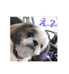メイのあいさつ（個別スタンプ：2）