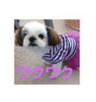 メイのあいさつ（個別スタンプ：11）