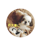 メイのあいさつ（個別スタンプ：15）