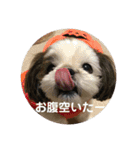 メイのあいさつ（個別スタンプ：16）