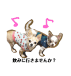 Macaron＆Boo（個別スタンプ：23）