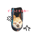 Macaron＆Boo（個別スタンプ：30）