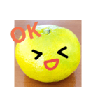 スキスキみかんちゃん4（個別スタンプ：1）
