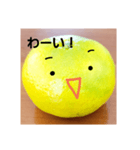 スキスキみかんちゃん4（個別スタンプ：3）