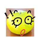 スキスキみかんちゃん4（個別スタンプ：4）