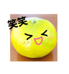 スキスキみかんちゃん4（個別スタンプ：5）