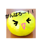 スキスキみかんちゃん4（個別スタンプ：8）