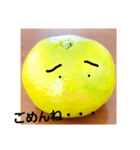 スキスキみかんちゃん4（個別スタンプ：14）
