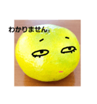 スキスキみかんちゃん4（個別スタンプ：15）
