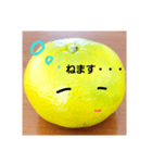 スキスキみかんちゃん4（個別スタンプ：16）
