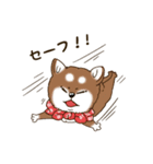 JBコインの仲間たち（個別スタンプ：11）