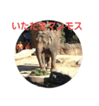いきものパラダイス（個別スタンプ：9）