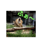 いきものパラダイス（個別スタンプ：14）