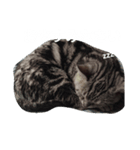 猫ニャン達（個別スタンプ：1）