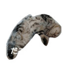 猫ニャン達（個別スタンプ：5）