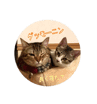 メル と てまり（個別スタンプ：1）
