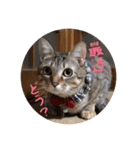 メル と てまり（個別スタンプ：6）