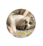メル と てまり（個別スタンプ：9）