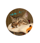 メル と てまり（個別スタンプ：10）