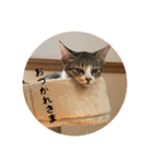 メル と てまり（個別スタンプ：11）