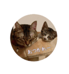 メル と てまり（個別スタンプ：13）