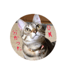 メル と てまり（個別スタンプ：15）
