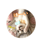 メル と てまり（個別スタンプ：16）